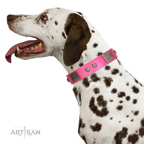 Walking top-notch quality walking leather Dalmatian collar