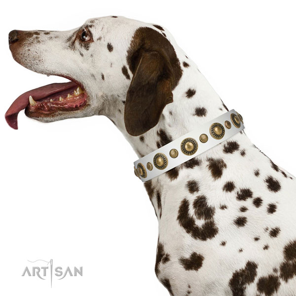 Extraordinary walking white leather Dalmatian collar with decorations