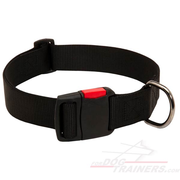  Adjustable Nylon Dog Collar