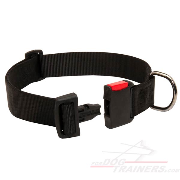 Easy to Fit Nylon Dog Collar