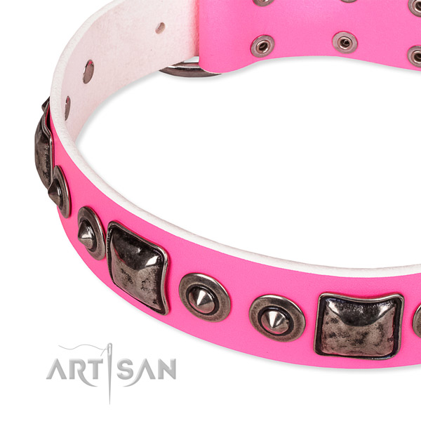 Stylish Dog Collar with Silver Look Decor