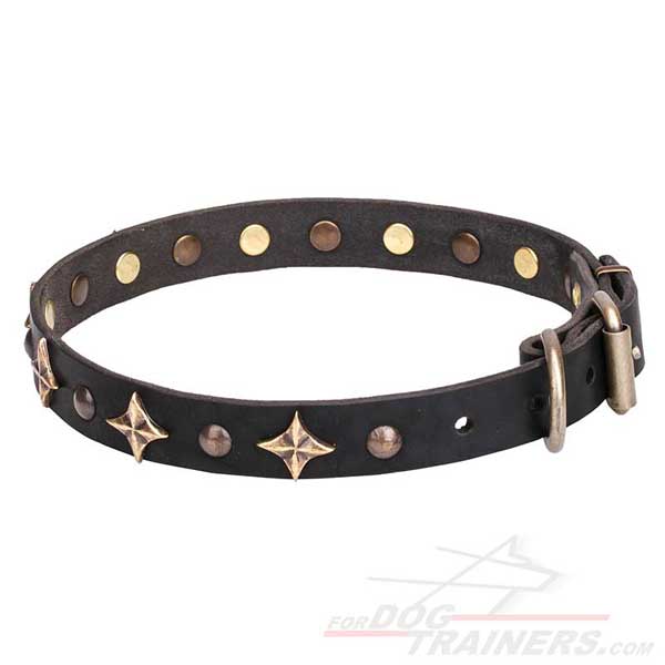 Dog Leather Collar with Small Rivets