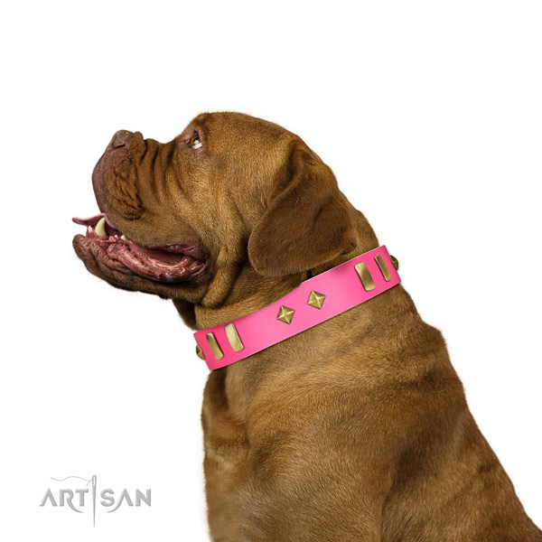 Soft genuine leather Dogue de Bordeaux collar for comfortable wear