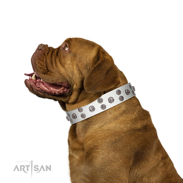 Extraordinary walking white leather Dogue de Bordeaux collar with chic decorations