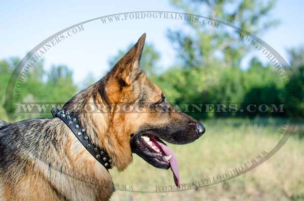 German Shepherd Collar Stylish Walking Dog Supply