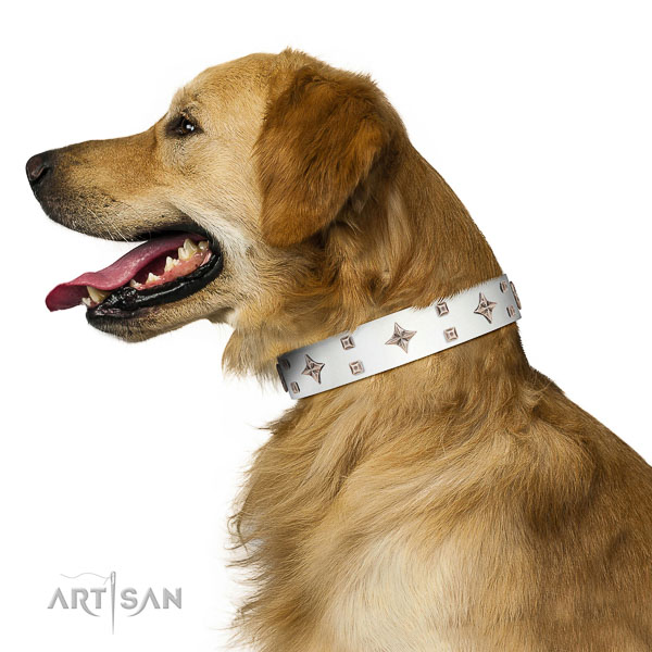 Gorgeous leather Golden Retriever collar for better handling