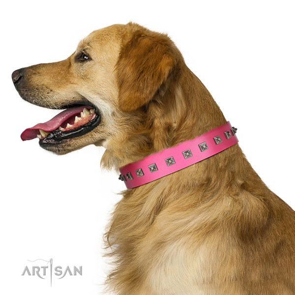 Extraordinary walking pink leather Golden Retriever collar with chic decorations