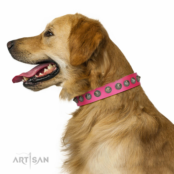 Decorated leather Golden Retriever collar for comfortable walking