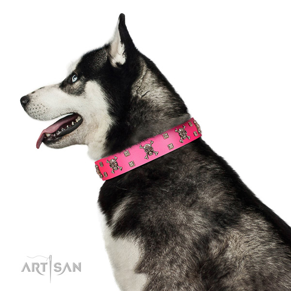 Extraordinary walking pink leather Husky collar with chic decorations