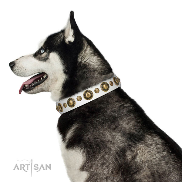 Handcrafted walking leather Husky collar