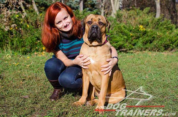 Pink Adjustable Training Leather Dog Collar for Cane Corso