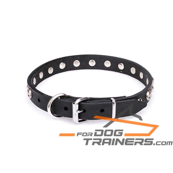 Leather dog collar for reliable use