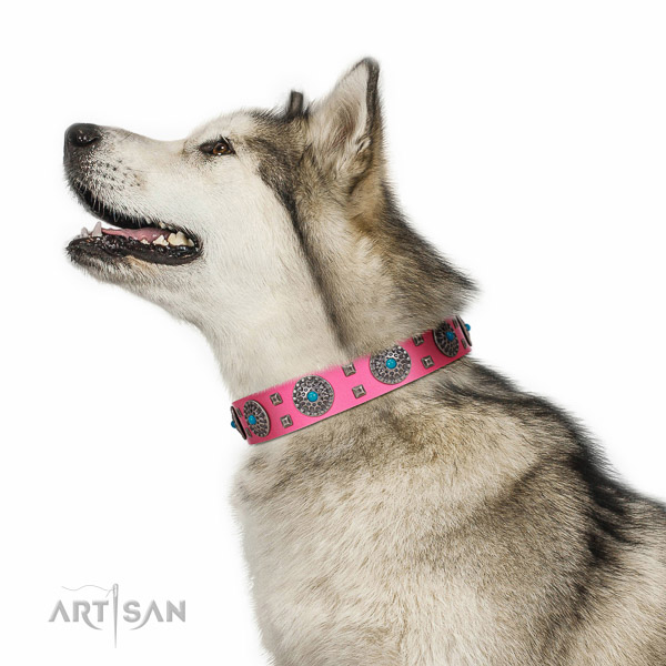 Everyday walking pink leather Malamute collar with luxury decorations