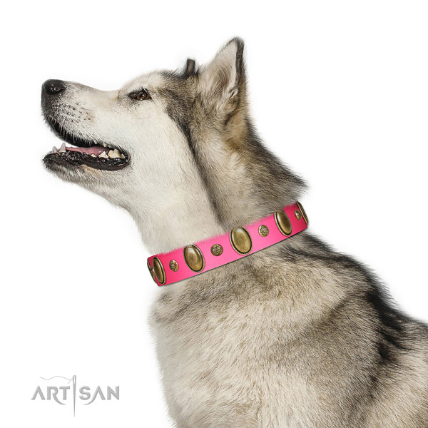 Comfortable Malamute Artisan leather collar of optimal width