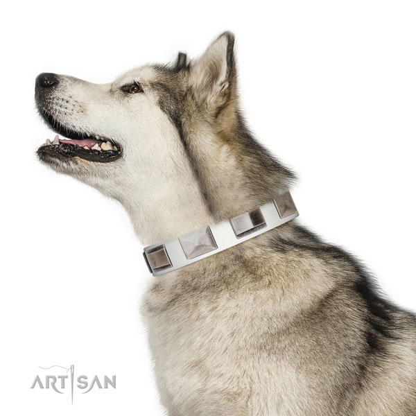 Handcrafted walking leather Malamute collar