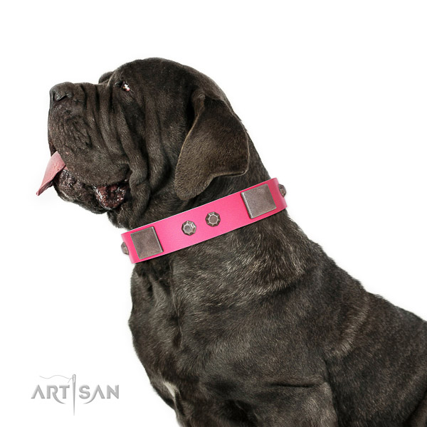 Extraordinary walking pink leather Mastino Neapoletano collar with chic decorations