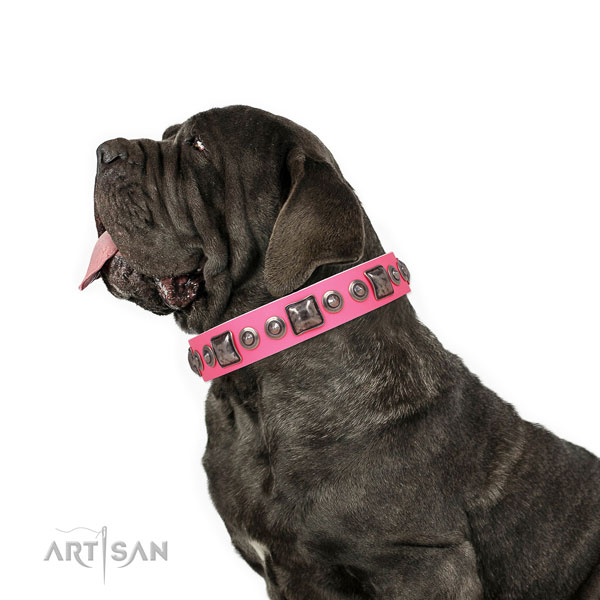 Mastino Neapoletano top notch natural genuine leather dog collar with studs