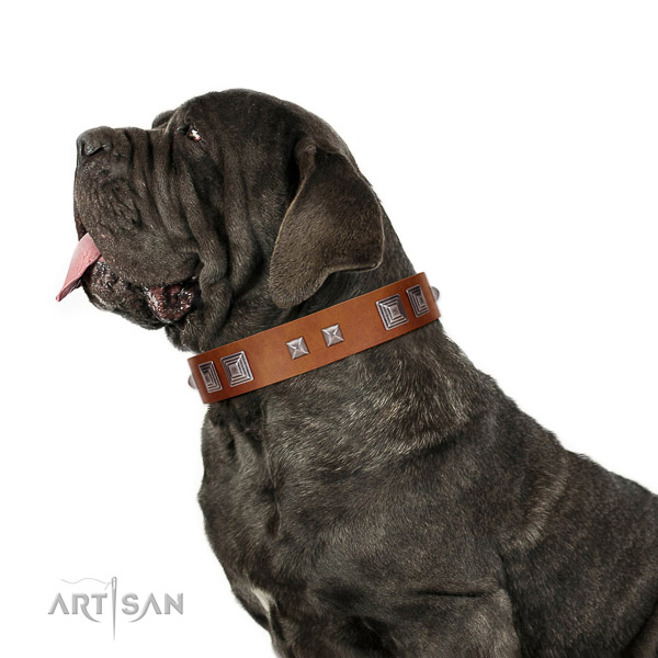 Top quality leather Mastino Neapolitano collar for any activity