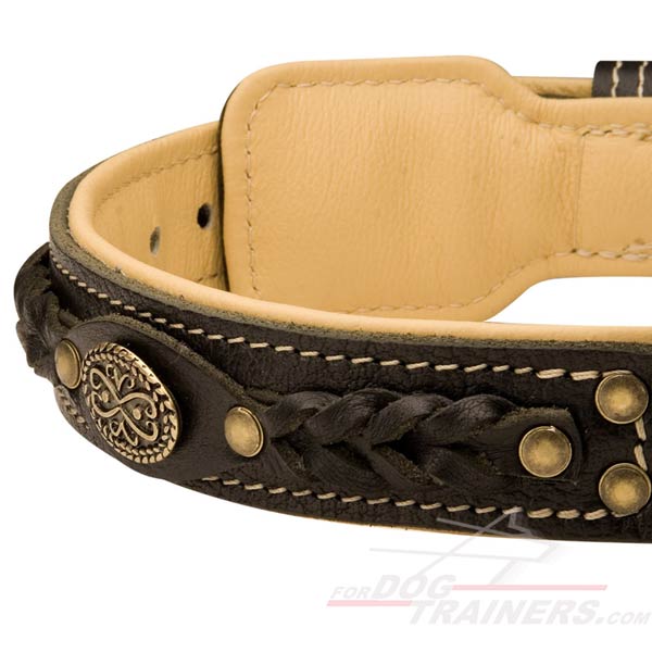Super Comfortable Dog Collar Leather with Inside Padding