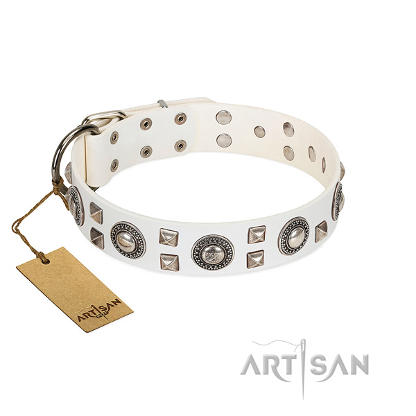 Reliable FDT Artisan leather dog collar