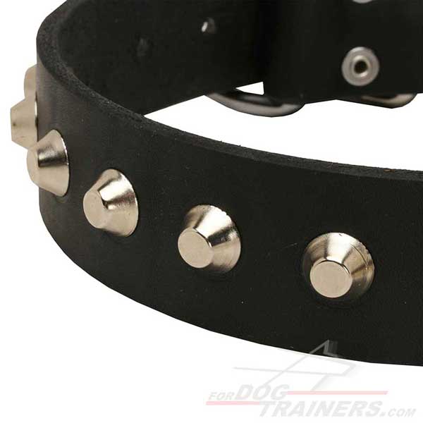 Nickel fittings on Leather Dog Collar