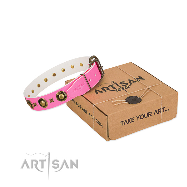 FDT Artisan leather dog collar for your best dog