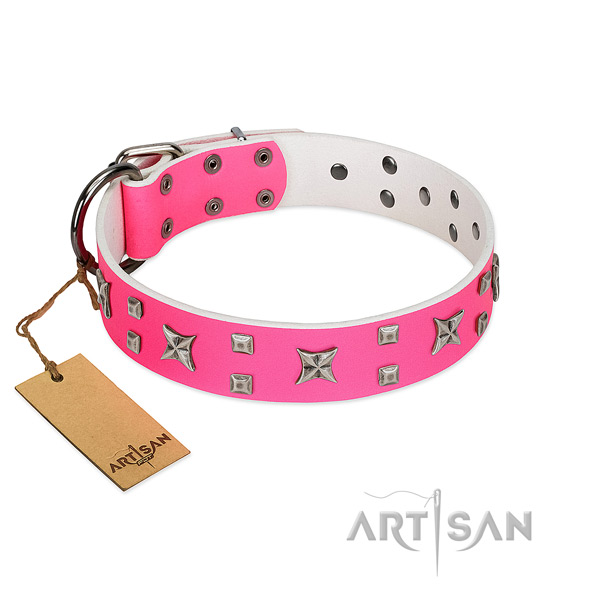 Ideal FDT Artisan leather dog collar for comfortable wear