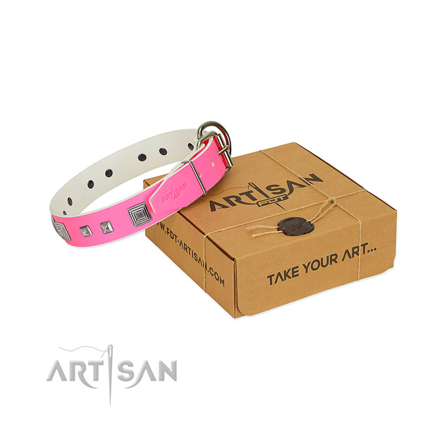 FDT Artisan leather dog collar for easy walks