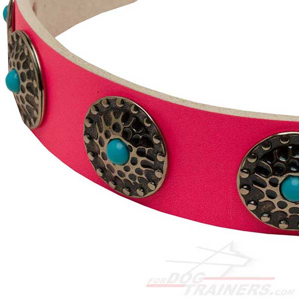 Beautiful Circles with Blue Stones on Comfortable Leather Cane Corso Collar