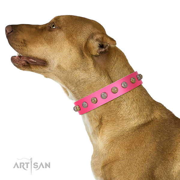 Extraordinary walking pink leather Pitbull collar with cool decorations