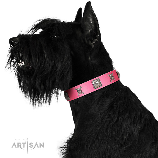 Extraordinary walking pink leather Riesenschnauzer collar with cool decorations