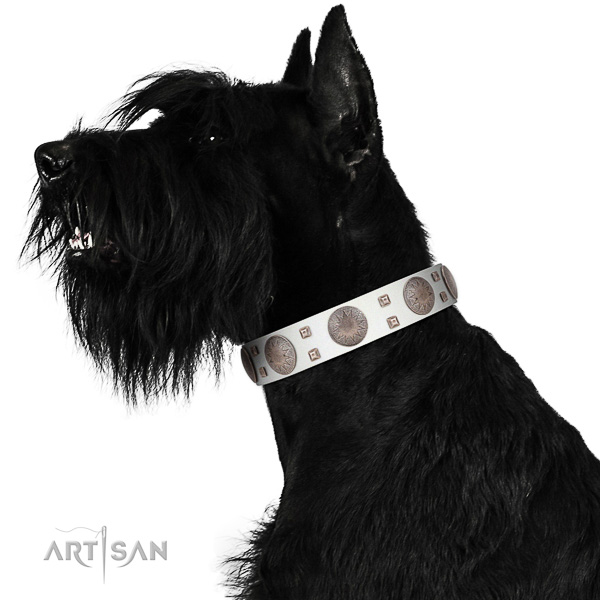 Extraordinary walking white leather Riesenschnauzer collar with chic decorations