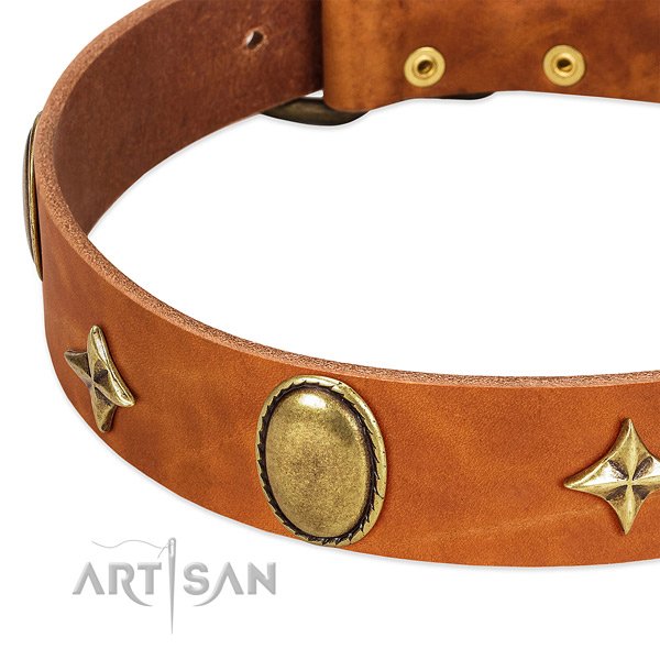 Stars and oval plates on designer tan leather dog collar