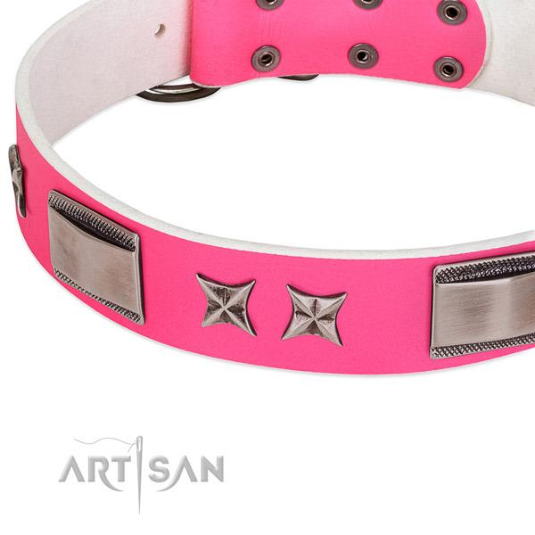 Fashionable leather dog collar with chrome-plated adornments