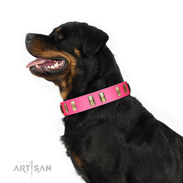 Rottweiler dog collar made of awesome quality natural leather