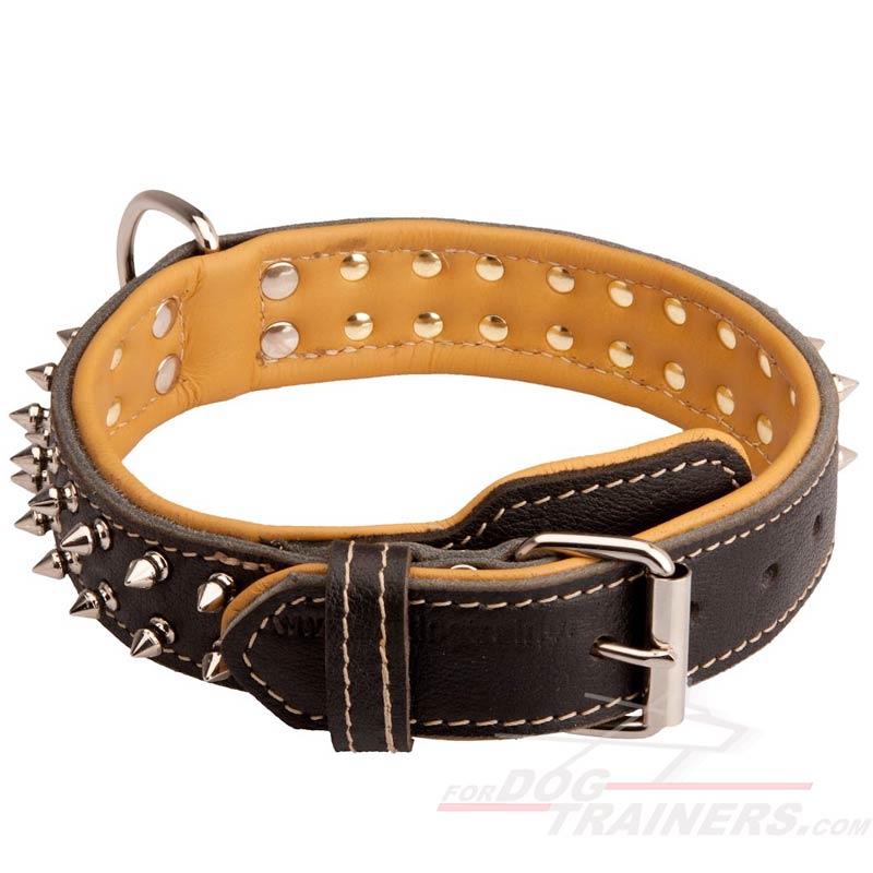 Creative design of leather dog collar with 2 rows of nickel-plated ...