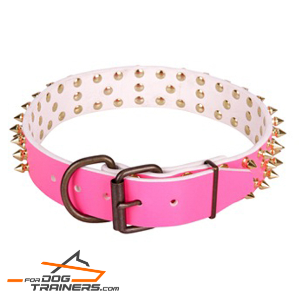 Studded leather dog collar with brass plated fittings