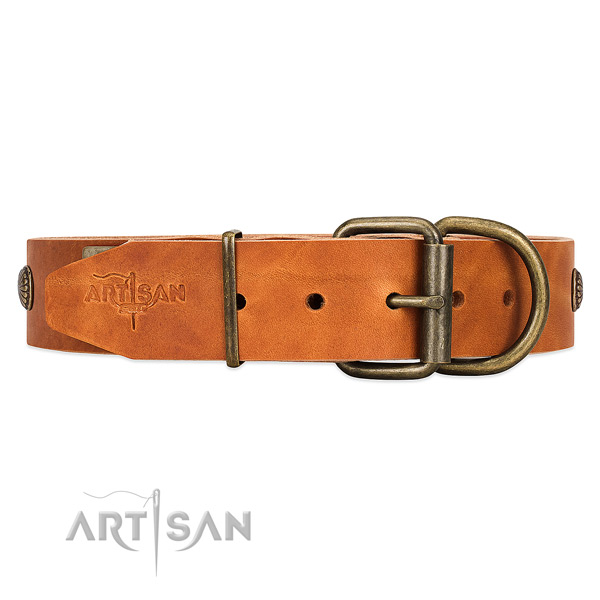 Tan Dog Collar with Rust-proof Buckle and D-ring