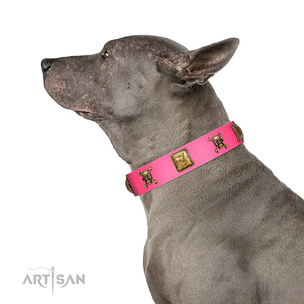 Totally safe Thai Ridgeback Artisan pink leather collar