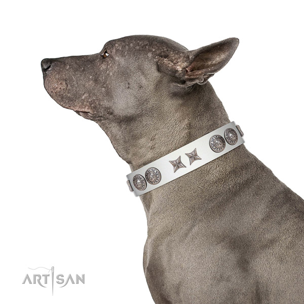 Incredible Quality leather Thai Ridgeback Collar for Easy Handling