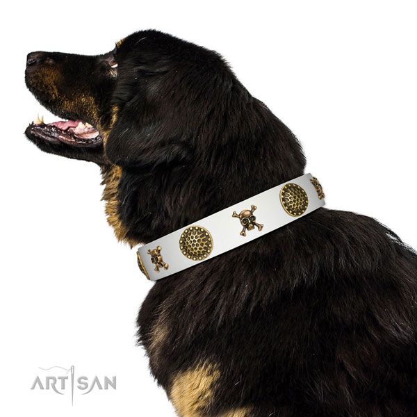 Walking leather Tibetian Mastiff collar for everyday usage