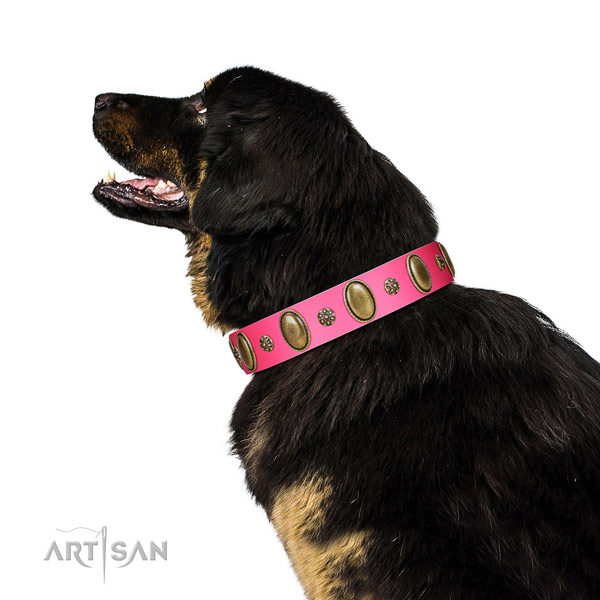 Pink Tibetian Mastiff Artisan leather collar for elegant look