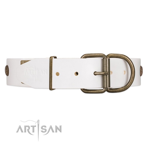 Dog Collar with Reinforced Buckle and D-ring