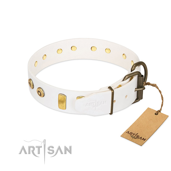 FDT Artisan Design Dog Collar Equipped with Heavy-duty Hardware