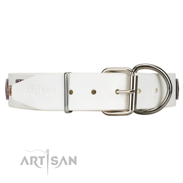 Leather dog collar with silver-like hardware