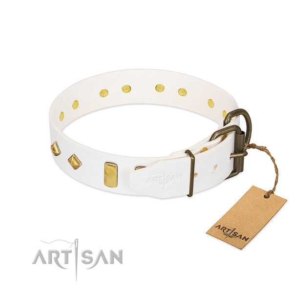 Non-toxic FDT Artisan Dog Collar for Daily Use