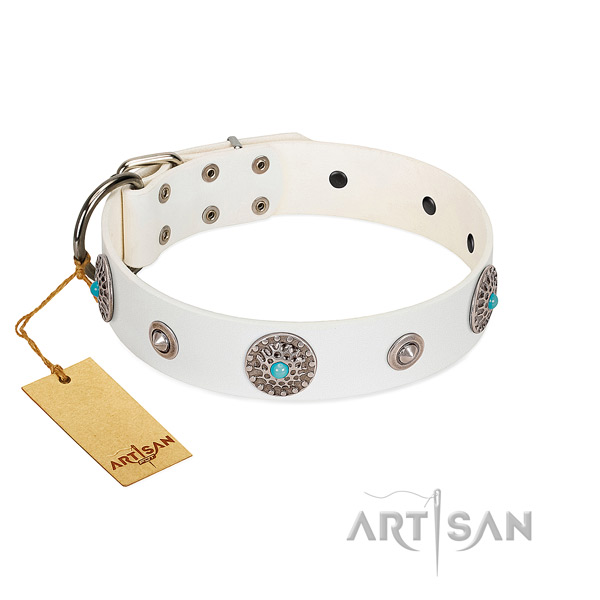 Stylish FDT Artisan leather dog collar