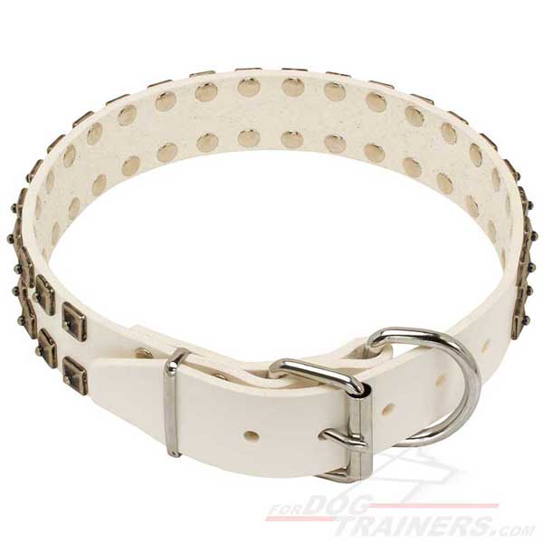 Fashion Leather Dog Collar with Solid Classic Buckle