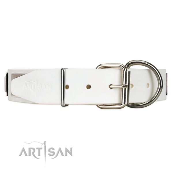 Strong leather dog collar with chrome plated hardware