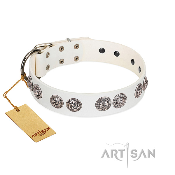 Superior white leather dog collar with riveted medallions